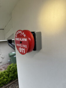 image_67158529